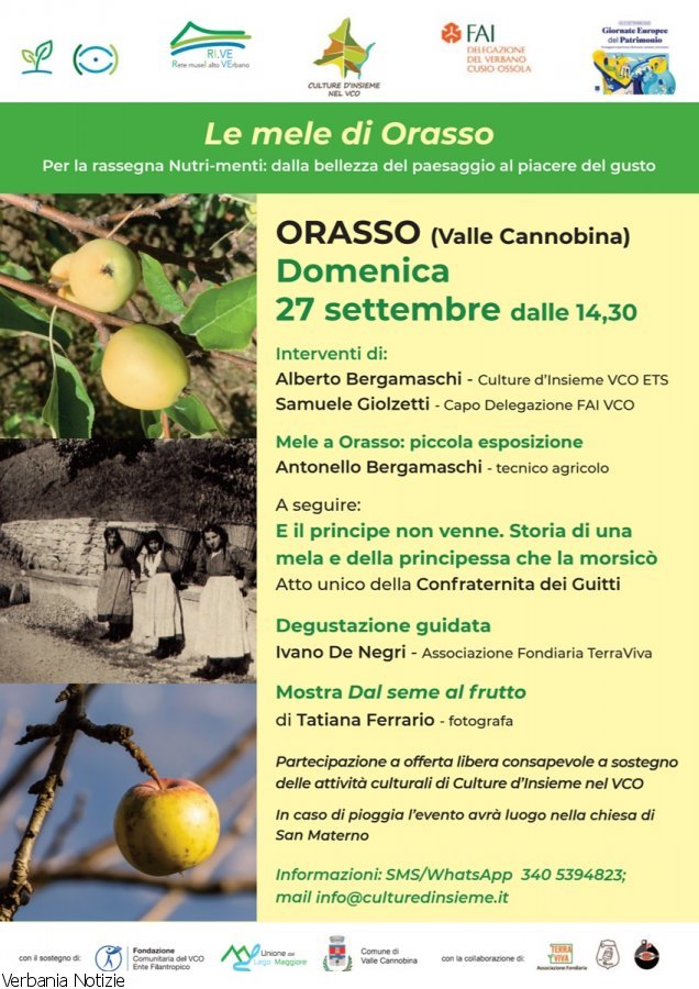 Immagine 1