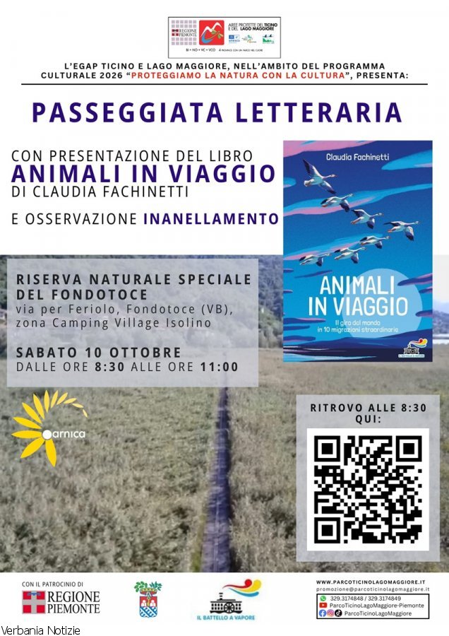 Immagine 1