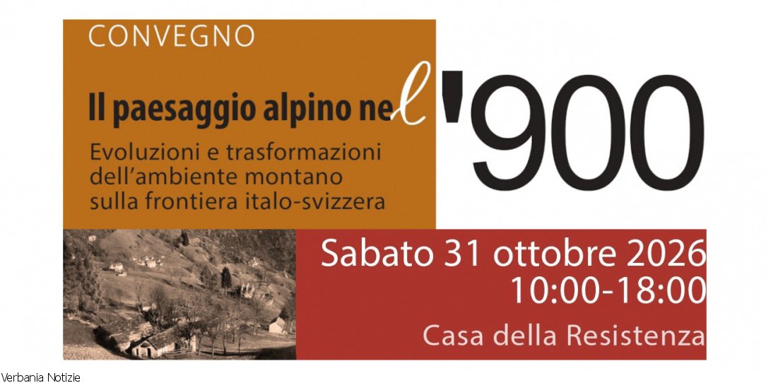 Immagine 1