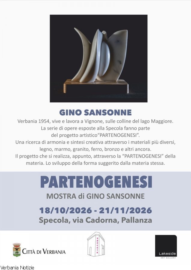 Immagine 1